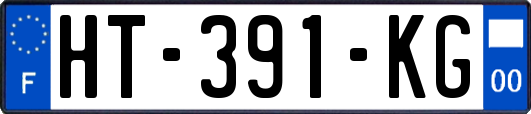 HT-391-KG