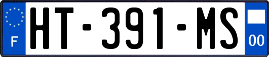 HT-391-MS