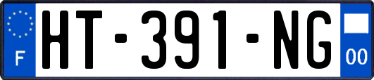 HT-391-NG