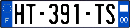 HT-391-TS