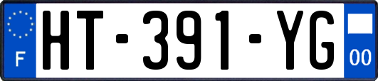 HT-391-YG