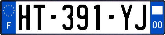 HT-391-YJ