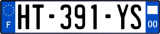 HT-391-YS
