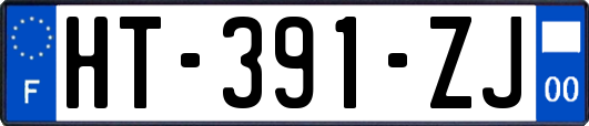 HT-391-ZJ