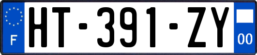 HT-391-ZY