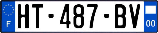 HT-487-BV
