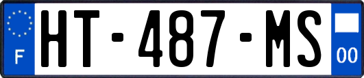 HT-487-MS