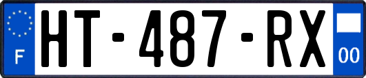 HT-487-RX