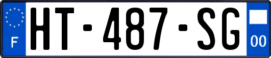 HT-487-SG