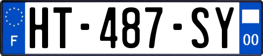 HT-487-SY