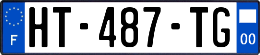 HT-487-TG
