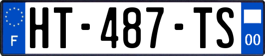 HT-487-TS