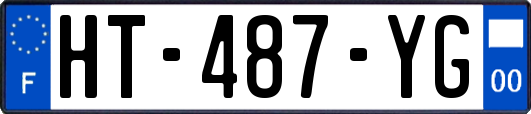 HT-487-YG