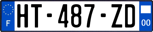 HT-487-ZD
