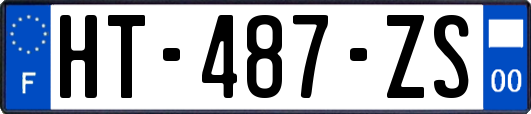 HT-487-ZS