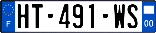 HT-491-WS