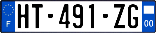 HT-491-ZG