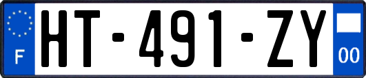 HT-491-ZY