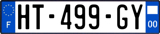 HT-499-GY