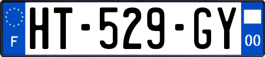 HT-529-GY