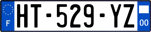 HT-529-YZ