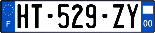 HT-529-ZY