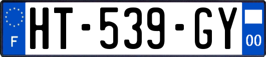 HT-539-GY