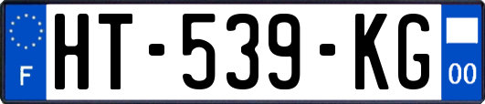 HT-539-KG