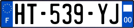 HT-539-YJ