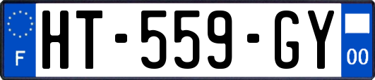 HT-559-GY