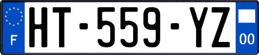 HT-559-YZ