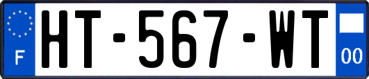 HT-567-WT