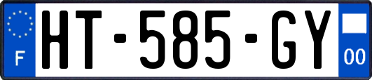 HT-585-GY