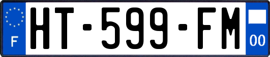 HT-599-FM