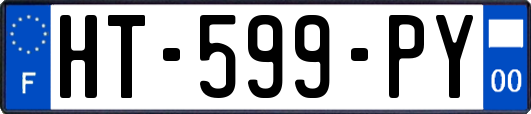 HT-599-PY