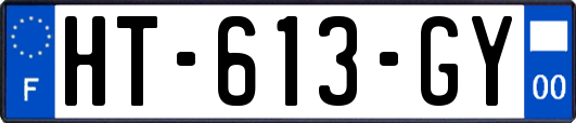 HT-613-GY