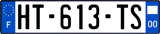 HT-613-TS