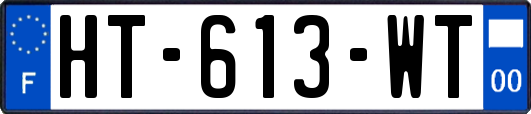 HT-613-WT