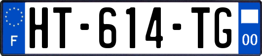 HT-614-TG