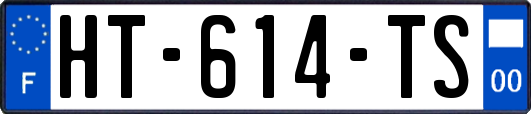 HT-614-TS