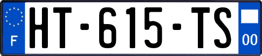 HT-615-TS