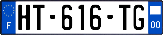 HT-616-TG