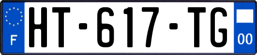 HT-617-TG