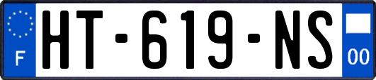 HT-619-NS