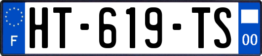 HT-619-TS