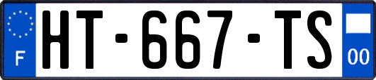 HT-667-TS