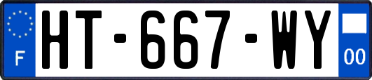 HT-667-WY