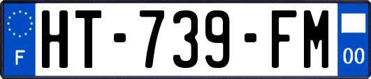 HT-739-FM
