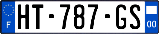 HT-787-GS
