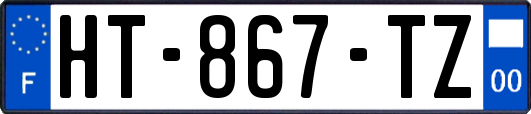 HT-867-TZ